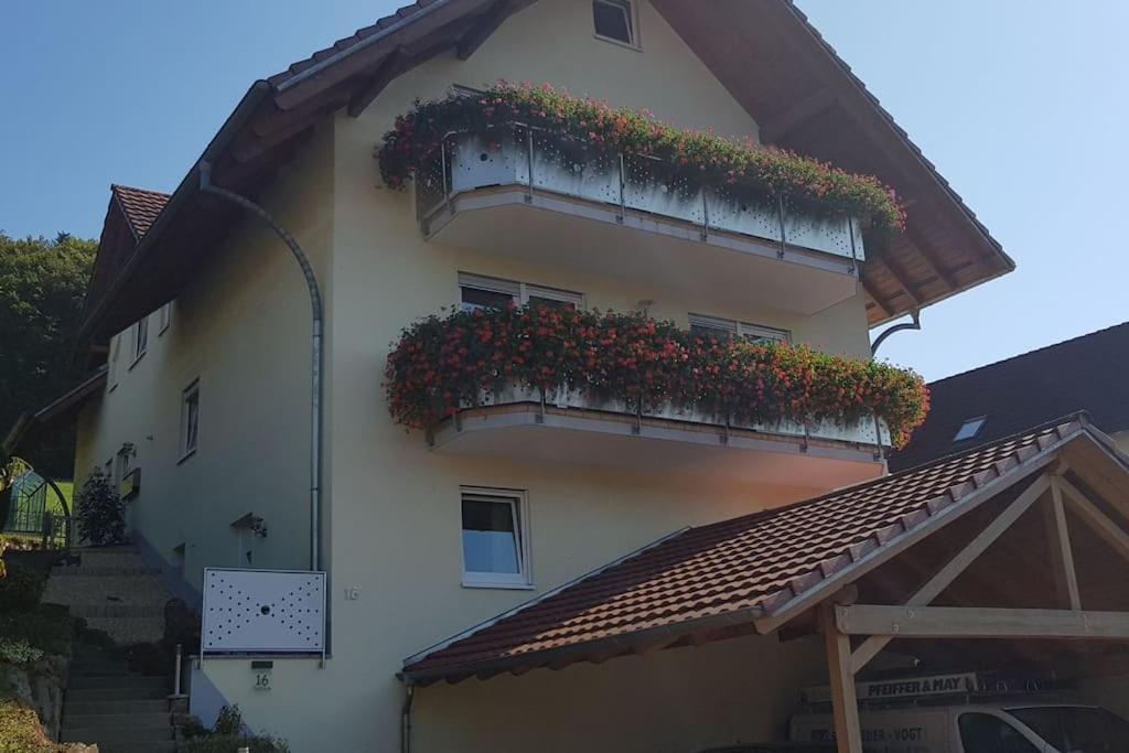 Ferienwohnung Talblick Im Schwarzwald Seelbach  Dış mekan fotoğraf