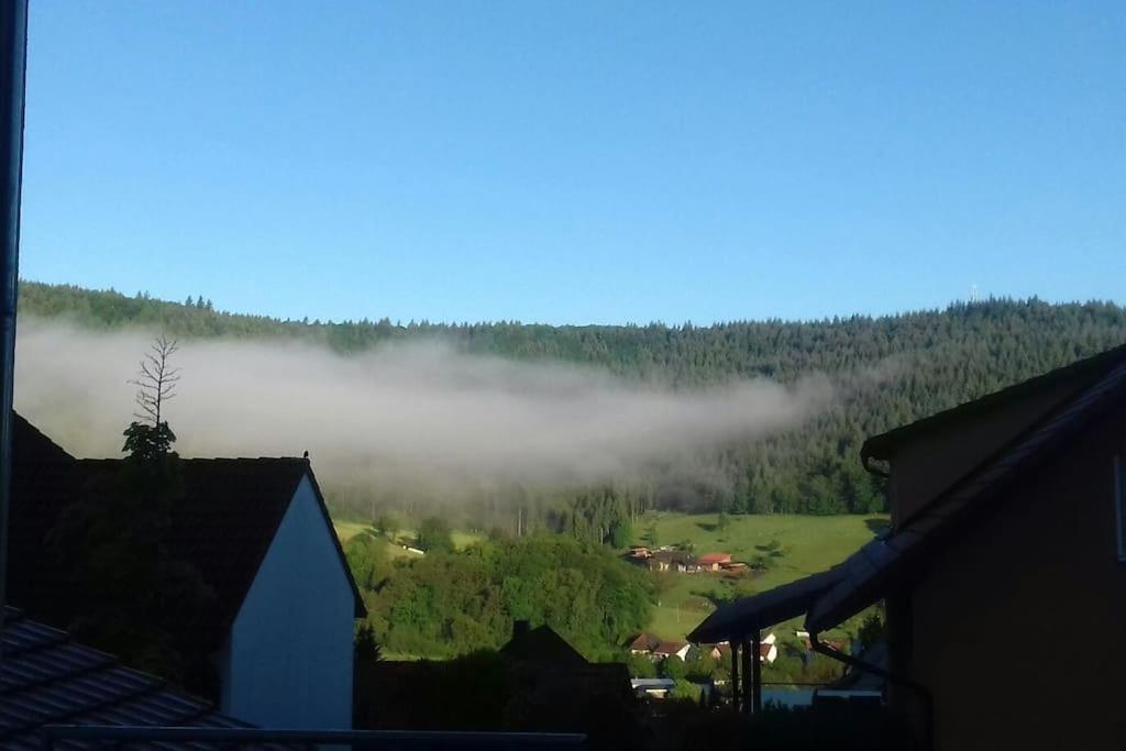 Ferienwohnung Talblick Im Schwarzwald Seelbach  Dış mekan fotoğraf