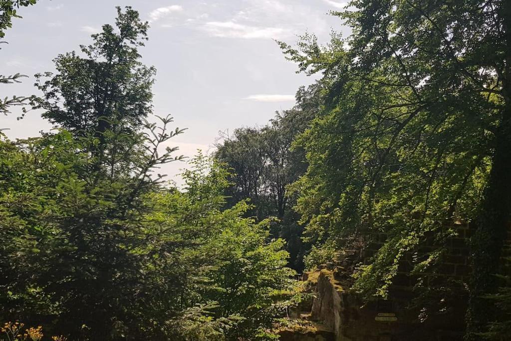 Ferienwohnung Talblick Im Schwarzwald Seelbach  Dış mekan fotoğraf