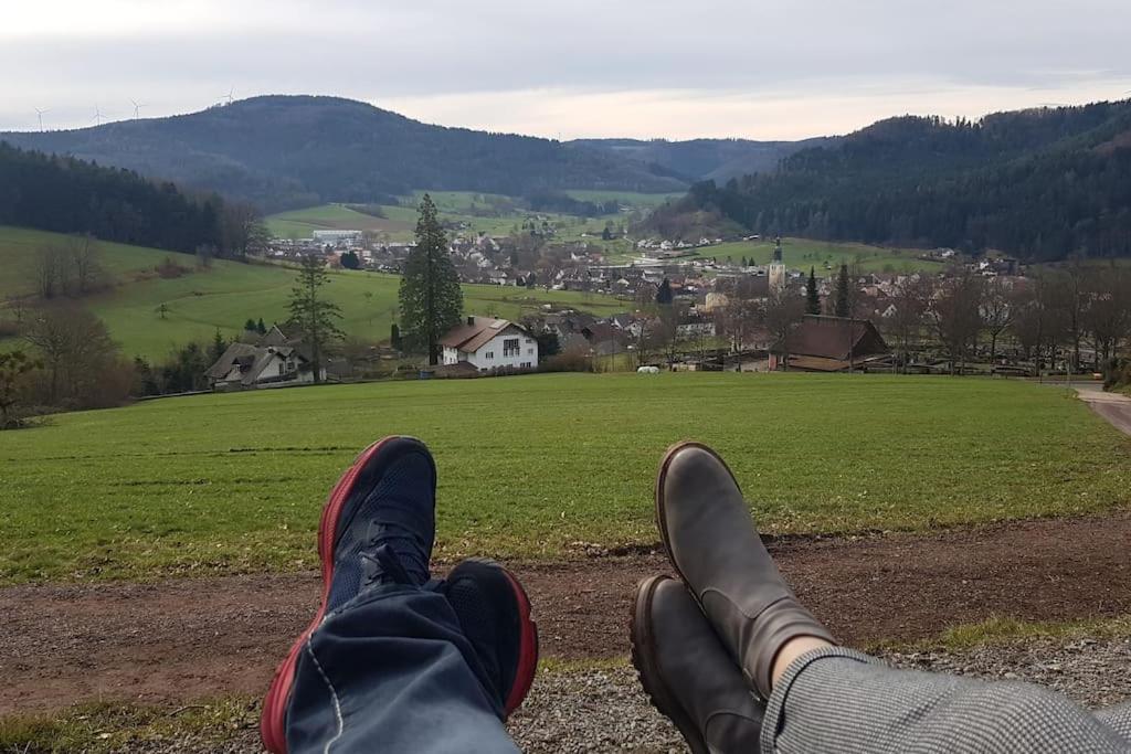 Ferienwohnung Talblick Im Schwarzwald Seelbach  Dış mekan fotoğraf