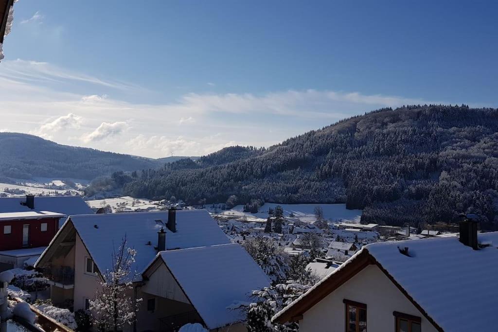 Ferienwohnung Talblick Im Schwarzwald Seelbach  Dış mekan fotoğraf