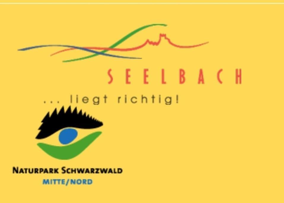 Ferienwohnung Talblick Im Schwarzwald Seelbach  Dış mekan fotoğraf