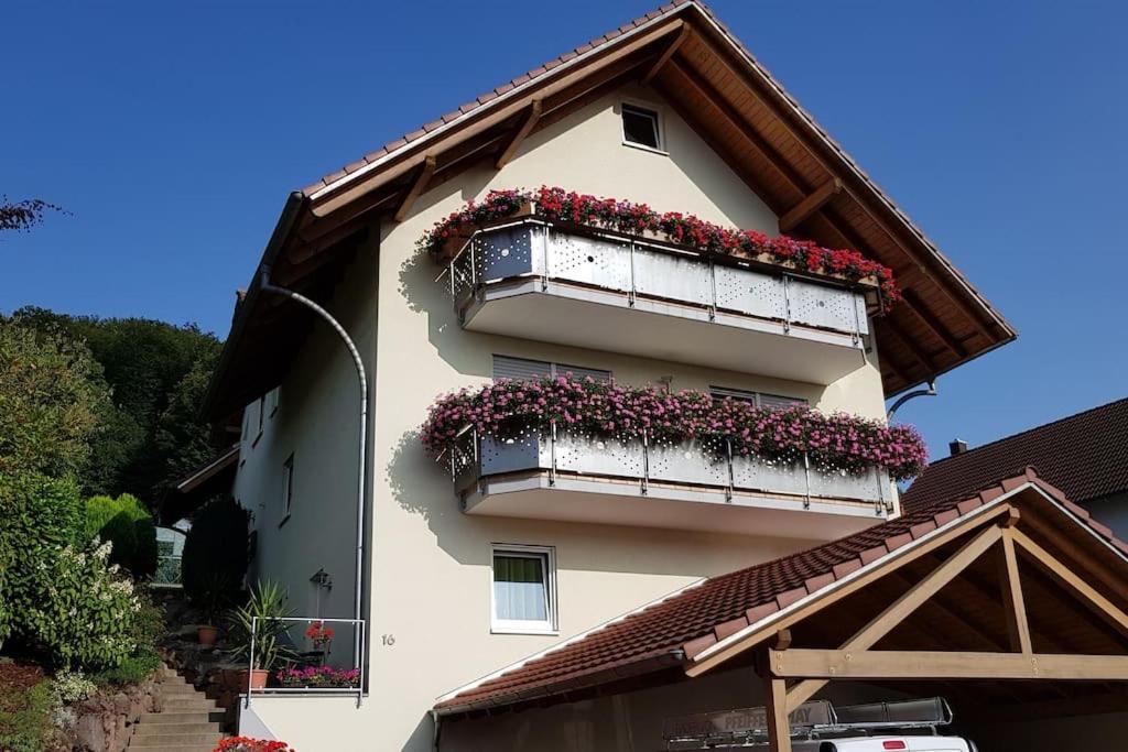 Ferienwohnung Talblick Im Schwarzwald Seelbach  Dış mekan fotoğraf