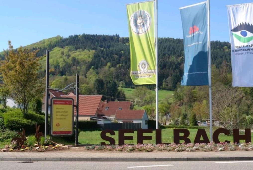 Ferienwohnung Talblick Im Schwarzwald Seelbach  Dış mekan fotoğraf
