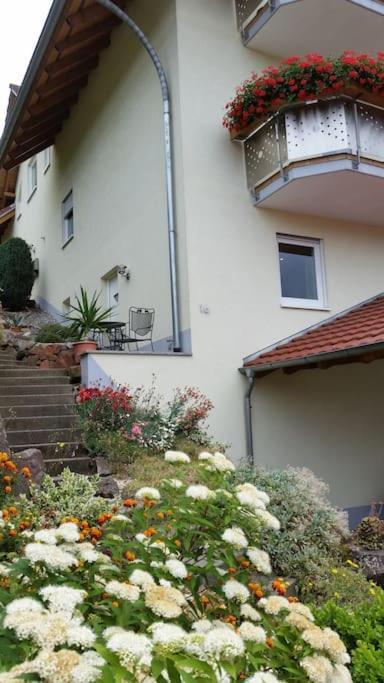 Ferienwohnung Talblick Im Schwarzwald Seelbach  Dış mekan fotoğraf