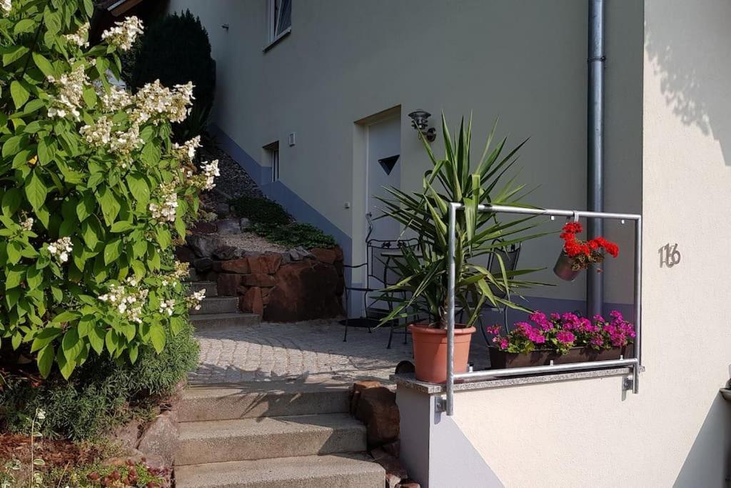 Ferienwohnung Talblick Im Schwarzwald Seelbach  Dış mekan fotoğraf